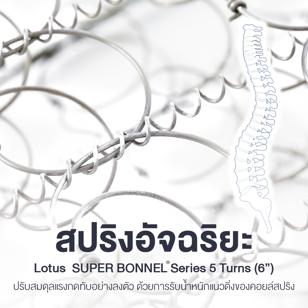 [ฟรี!ชุดผ้าปู] LOTUS