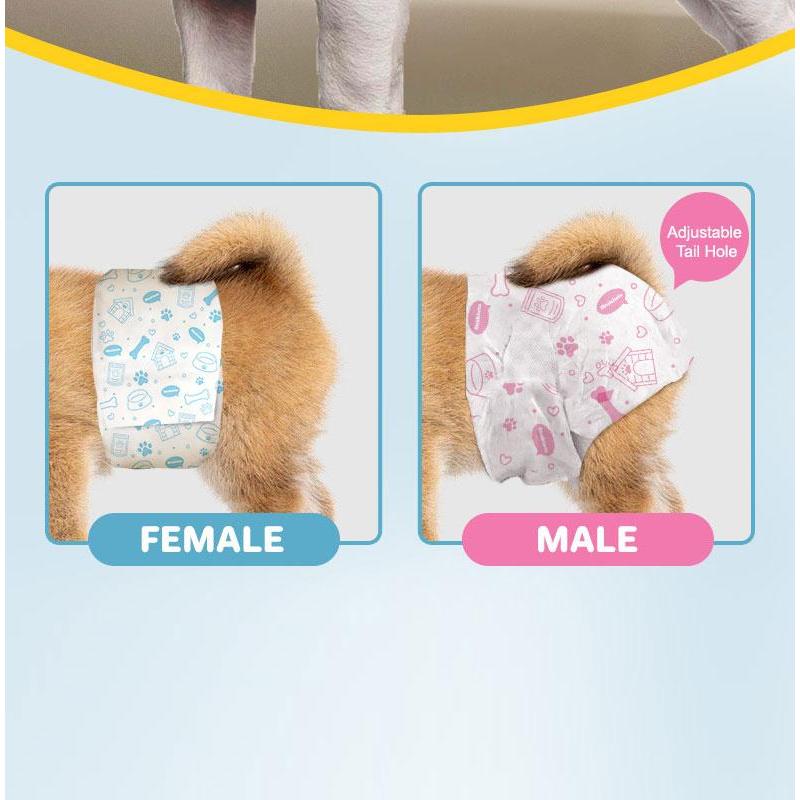 สุนัขเพศผู้ สุนัขเพศเมีย XXS-XL ผ้าอ้อมน้องหมา (12ชิ้น) มีหลายขนาดให้เลือก ผ้าอ้อมสุนัข เพศเมีย ผ้าอ้อมสัตว์เลี้ยง - รูปที่ 6