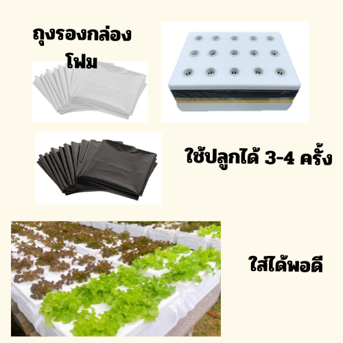 ชุด 3 กก. ถุงดำ ถุงขาว ปลูกผักไฮโดรโปนิกส์ ถุงรองกล่องโฟม ถุงรองกล่องกุ้ง (ใส่ได้พอดี) - รูปที่ 2