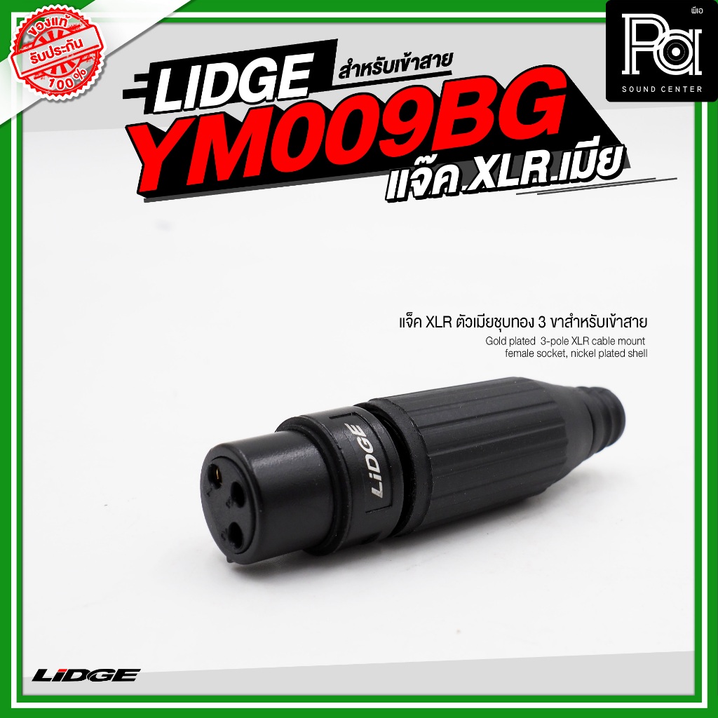 LIDGE YM 009BG แจ็ค XLR ตัวเมียชุบทอง 3 ขาสำหรับเข้าสาย วัสดุมาตรฐาน อุปกรณ์ประกอบสายสัญญาณ