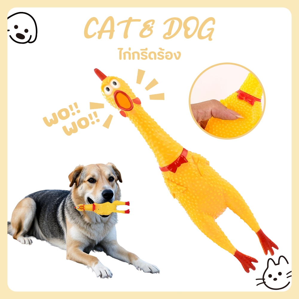 【CAT&DOG】ไก่โอ๊ค ไก่บีบ ของเล่นสุนัข ของเล่นยางกัด ยางกัดสุนัข Chicken sound toy ไก่โอ๊ก ร้องหนักมาก 🐤