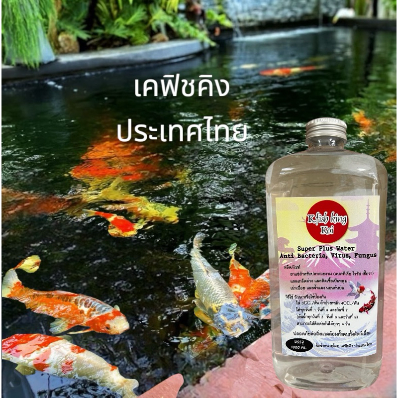 k-fish.kingบรรจุ1000mlผลิตภัณท์ปรับสภาพน้ำกักปลาสวยงาม