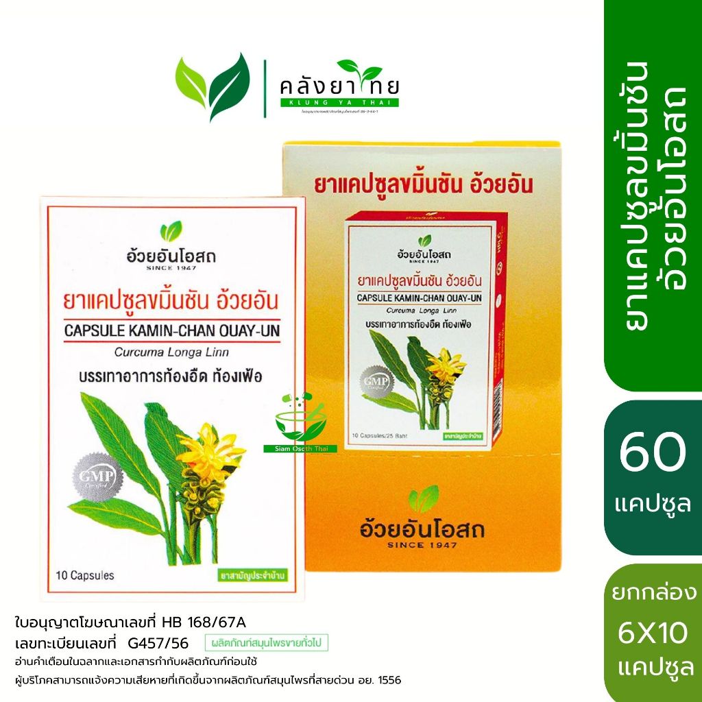 [ยกกล่อง] ขมิ้นชัน อ้วยอันโอสถ / Herbal One 6X10 แคปซูล พร้อมส่ง