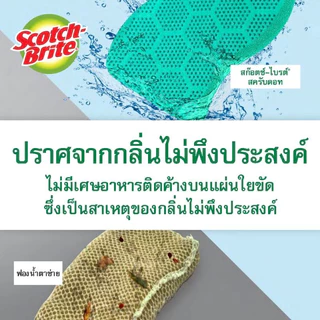 3M Scotch-Brite® สก๊อตช์-ไบรต์ แผ่นใยขัดฟองน้ำสครับดอท เหมาะใช้กับภาชนะเคลือบ