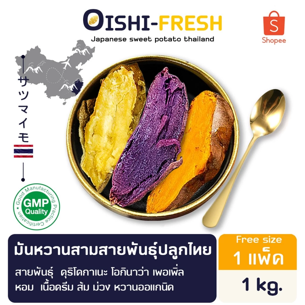 Oishi-Fresh มันหวาน 3 สีสายพันธุ์ ปลูกไทย 1 กก. 3-4 หัว ปลอดสารพิษ รสชาติหวาน หอม สด ใหม่ หวานออร์แกนิค เคลมได้ 1-2 วัน