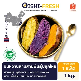 Oishi-Fresh มันหวาน 3 สีสายพันธุ์ ปลูกไทย 1 กก. 3-4 หัว ปลอดสารพิษ รสชาติหวาน หอม สด ใหม่ หวานออร์แกนิค เคลมได้ 1-2 วัน