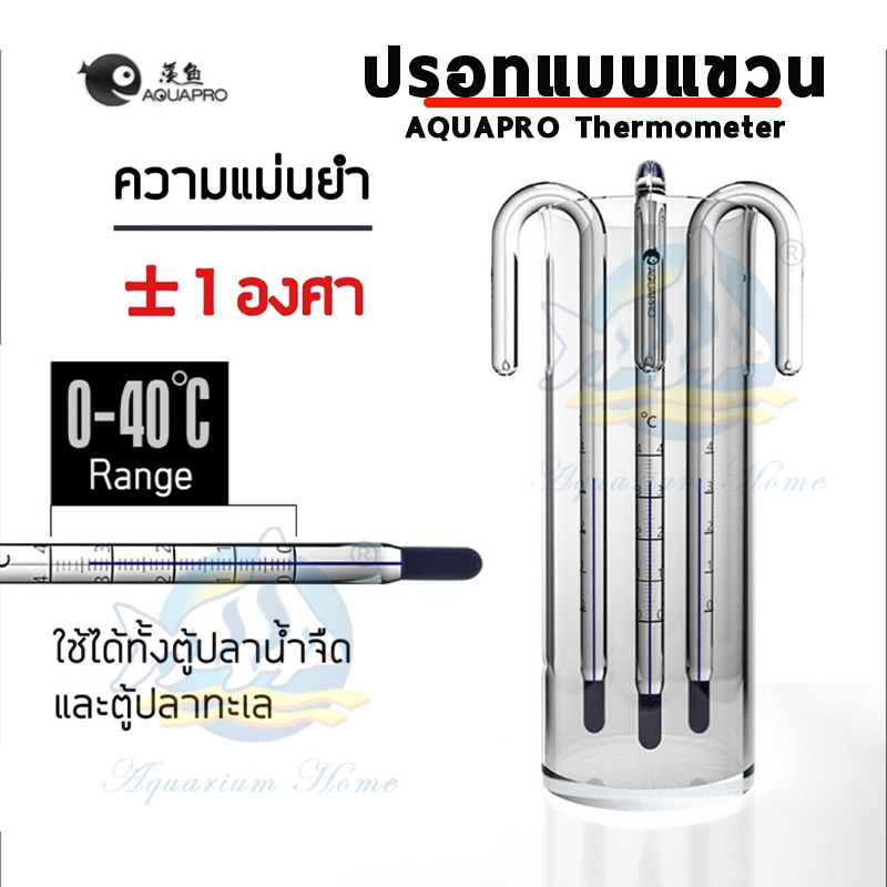 เทอร์โมมิเตอร์ AQUAPRO ปรอทแบบแขวน ความแม่นยำสูง สำหรับวัดอุณภูมิตู้ปลา ใช้ได้ทั้งปลาน้ำจืด ปลาทะเล

<p>“><center></p>
<h4></h4>
<p><p><font color=