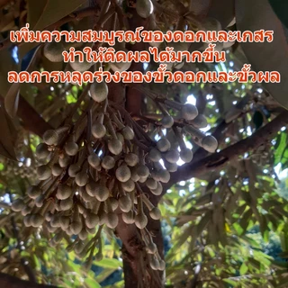 แคลเซียมโบรอน สูตรน้ำเข้มข้น (1ลิตร) ลดปัญหาดอกร่วง ผลร่วง ผลแตก ใบไหม้ ยอดกุด เพิ่มคุณภาพผลผลิต ที่เกษตรกรเลือกใช้