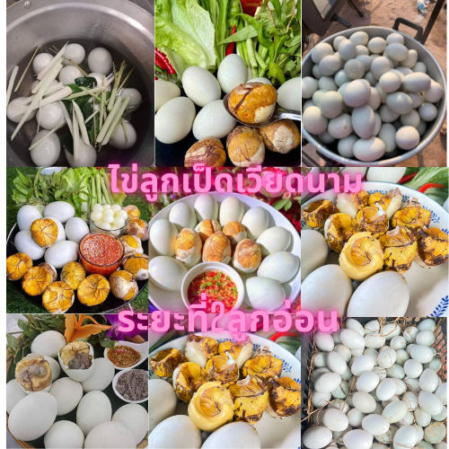 ไข่ลูกเป็ดดิบ ไข่ลูกอ่อนเวียดนาม ลูกค้านำไปต้มเอง ไม่ได้แถมน้ำจิ้ม