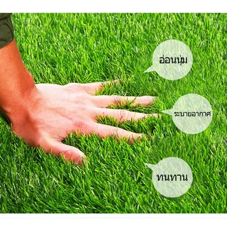 【ส่งไวจากไทย⚡】1-3CM 2x2m 2×3m 2×4เมตร หญ้าเทียมถูกๆ หญ้าปลอม คุณภาพดี สีไม่ซีด มีรูระบายน้ำ ตกแต่งสวน