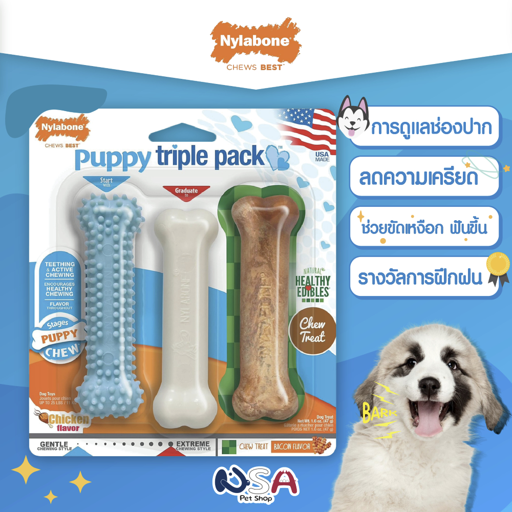 Nylabone Puppy Triple Pack ของเล่นเคี้ยว 2 ชิ้น และขนมเคี้ยว 1 ชิ้น ขนาด s สำหรับสุนัขน้ำหนักสูงสุด 