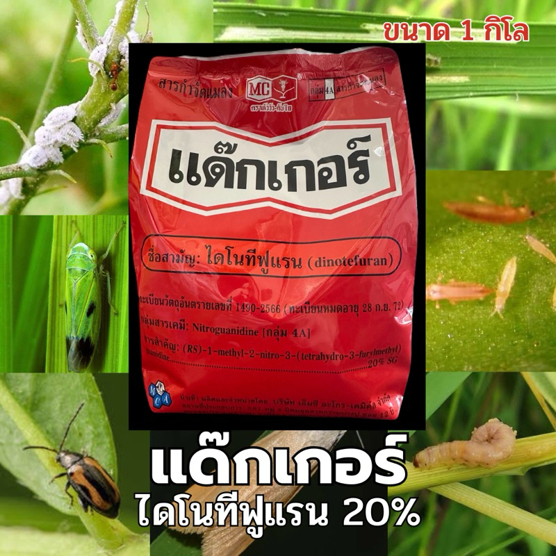ไดโนทีฟูแรน 20% SG แด๊กเกอร์ (ขนาด1กิโลกรัม) สารกำจัดแมลงปากดูด ตราหัววัว-คันไถ
