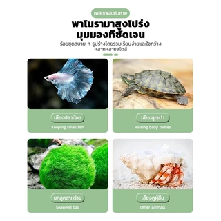 ตู้ปลา ตู้ปลาเลโก้ ตู้ปลาเล็ก เลี้ยงปลากัด ตู้ปลาอะคริลิค สามารถจับคู่กับไฟ LED เหมาะสำหรับสัตว์เลี้ยงขนาดเล็กทุกชนิด