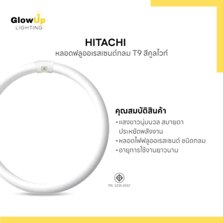 HITACHI หลอดฟลูออเรสเซนต์กลม T9 (แสงคูลไวท์)
