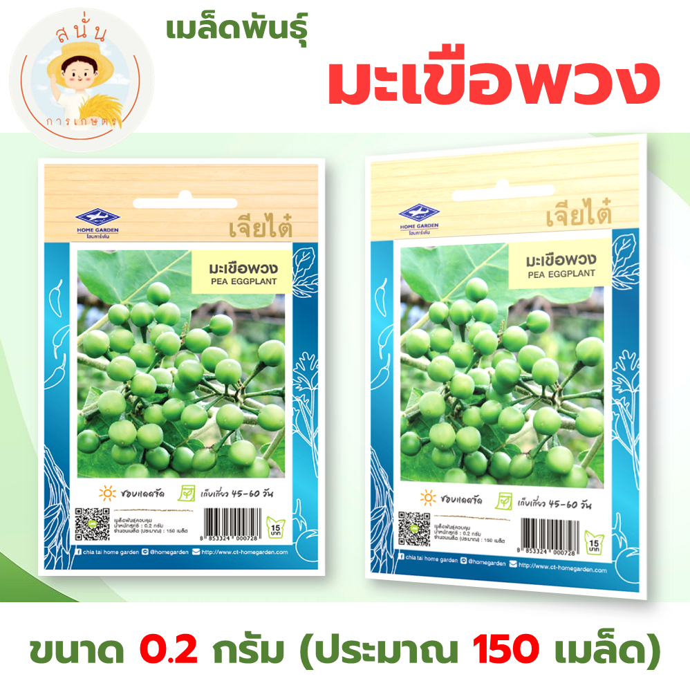 เมล็ดพันธุ์ มะเขือพวง ไร้หนาม (Pea Eggplant) ผักซอง เจียไต๋ OP ขนาด 0.2 กรัม (ประมาณ 150 เมล็ด)