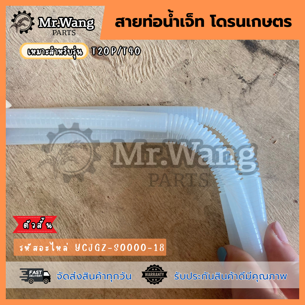 รูปภาพ 4