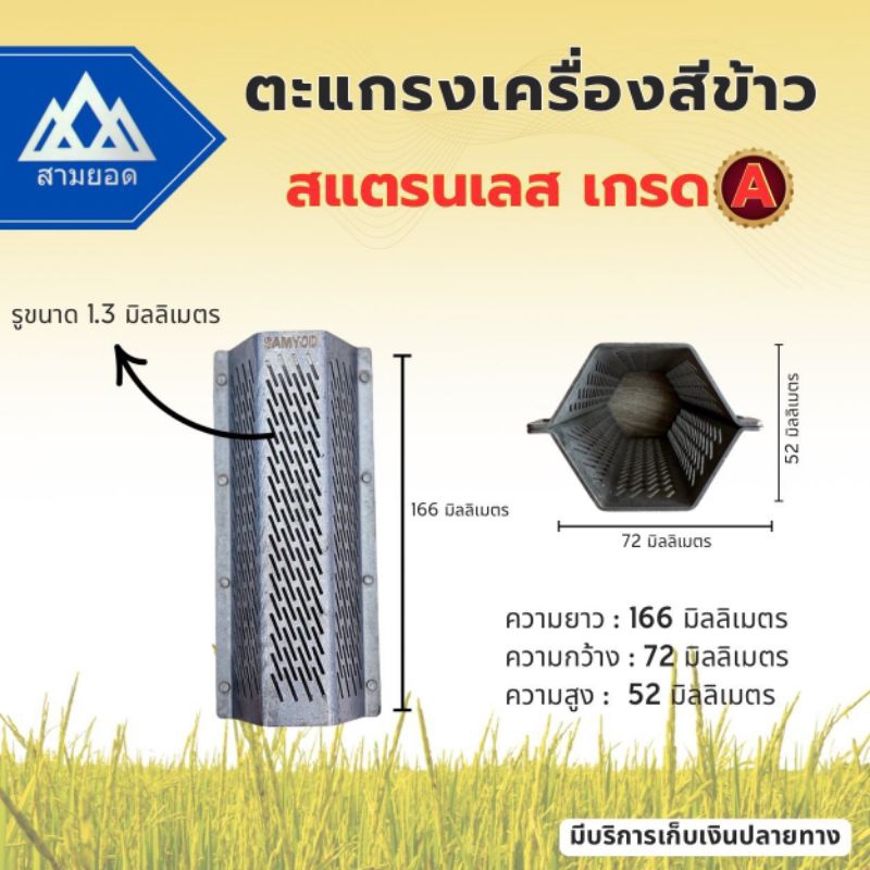 รูปภาพ 4