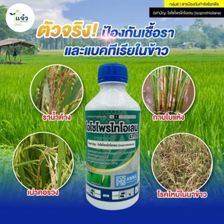 ไอโซโพรไทโอเลน 41.76 อีซี (ขนาด 1 ลิตร) ป้องกันเชื้อรา และแบคทีเรีย
