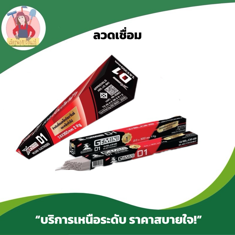 ลวดเชื่อมไฟฟ้า Gemini D1