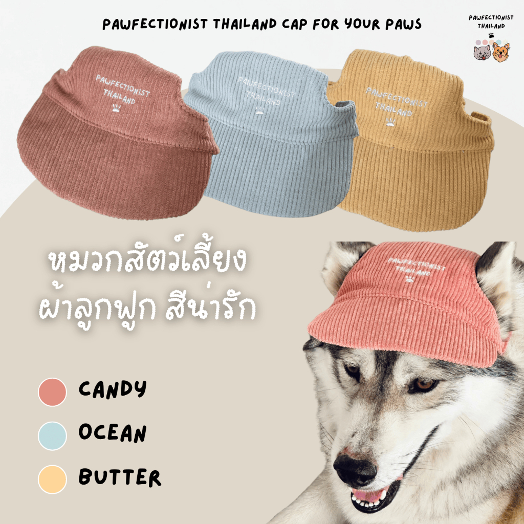 Pawfectionist TH: Cap for paws หมวกสัตว์เลี้ยง หมวกสุนัข หมวกแมว ผ้าลูกฟูก สีน่ารัก ปรับขนาดได้