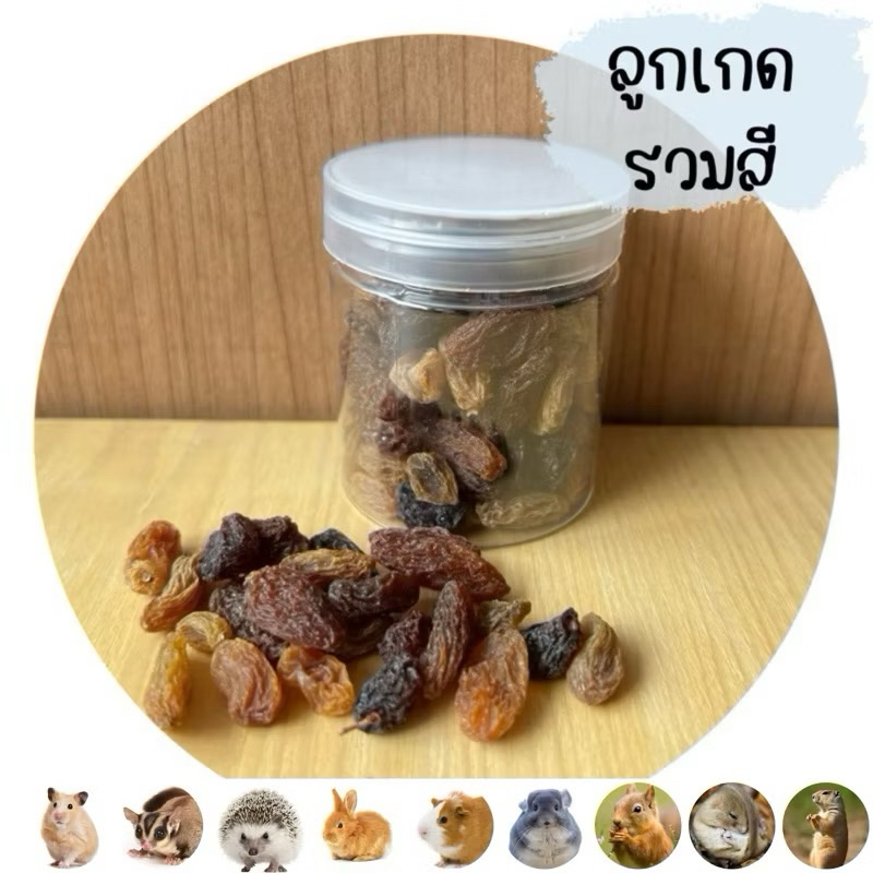 ลูกเกดรวมสีอบแห้งสำหรับสัตว์ฟันแทะ เช่น กระต่าย แฮมสเตอร์ หนูแกสบี้ และชินชิล่า