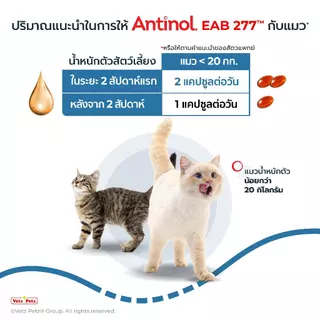 [Official Store] แอนทินอล Antinol® EAB 277™for cat 30 แคปซูล