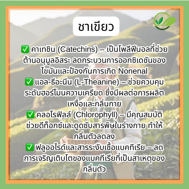 สบู่ดับกลิ่นแก่‼️ สบู่ลูกพลับญี่ปุ่นผสมชาเขียว ก้อนใหญ่100กรัม ‼️แถมฟรีเส้นใยขัดผิว - รูปที่ 6