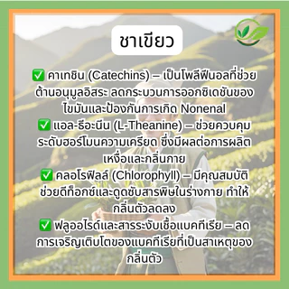 🇯🇵 สบู่ลูกพลับญี่ปุ่น ผสมชาเขียว ก้อนใหญ่100g. แถมเส้นใยขัดผิว 🫧