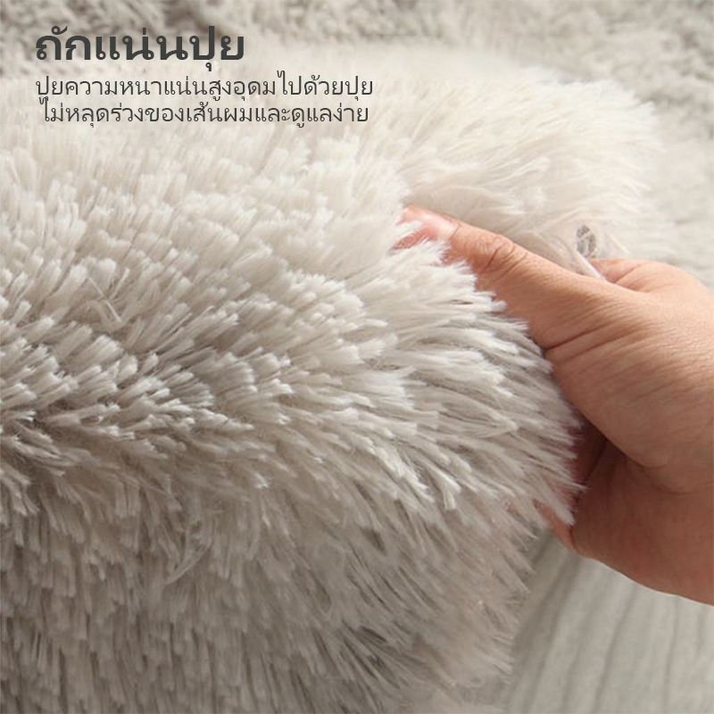 รูปภาพ 7