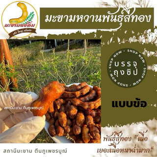 มะขามหวาน พันธุ์สีทอง (ข้อสั้น) “ไร้เม็ด มีเม็ด” ขนาด 200,500 กรัม