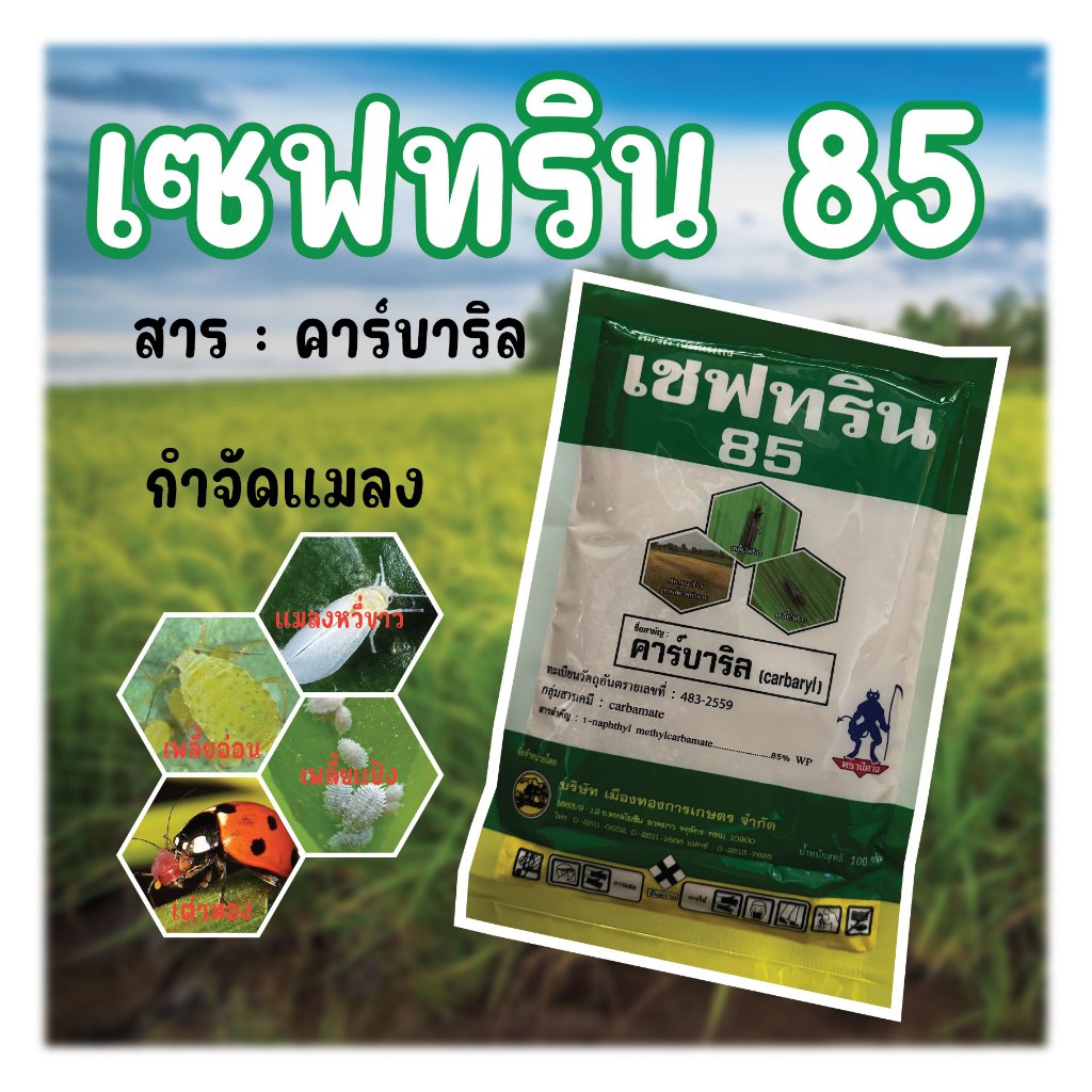 เซฟทริน 85 ตัวเก่งกำจัดแมลงเต่าทอง แมลงหวี่ขาว ขนาด 100 กรัม