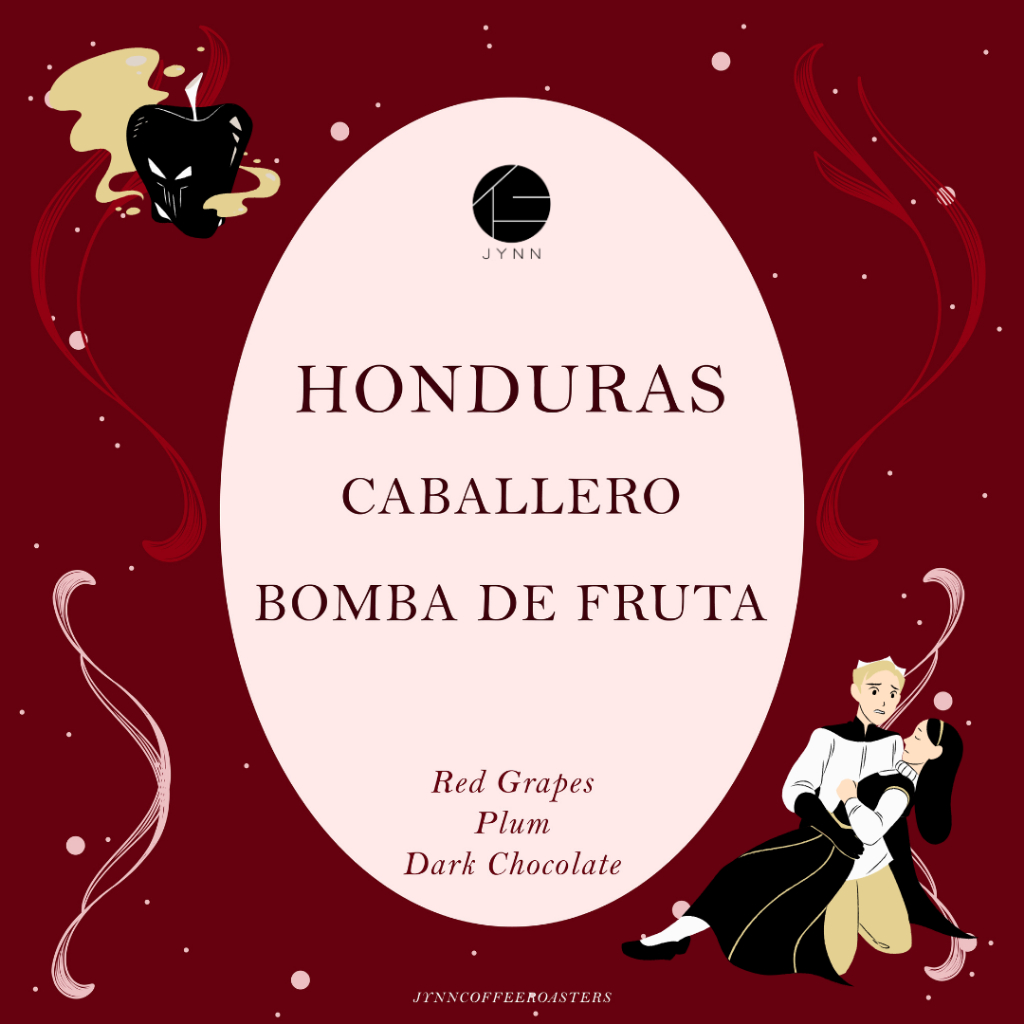JYNN coffee roasters เมล็ดกาแฟ: Honduras Caballero Bomba De Fruta - 100g