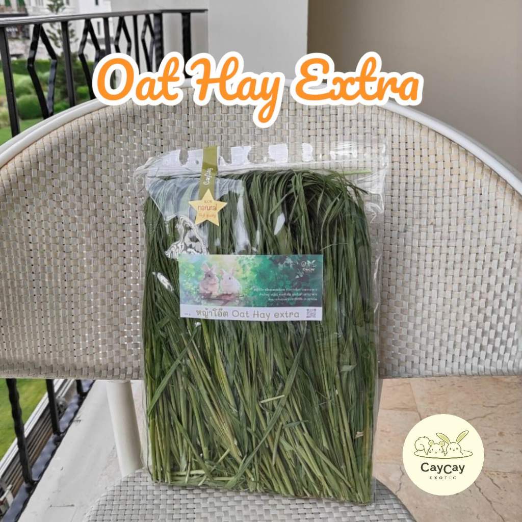 Oat Hay Extra หญ้าโอ๊ตอบ : caycay exotic