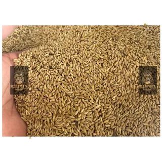 ข้าวไรน์ (แบ่งขาย250-1kG.) อาหารนกแก้ว แฮมเตอร์ และสัตว์ฟันแทะอื่นๆ