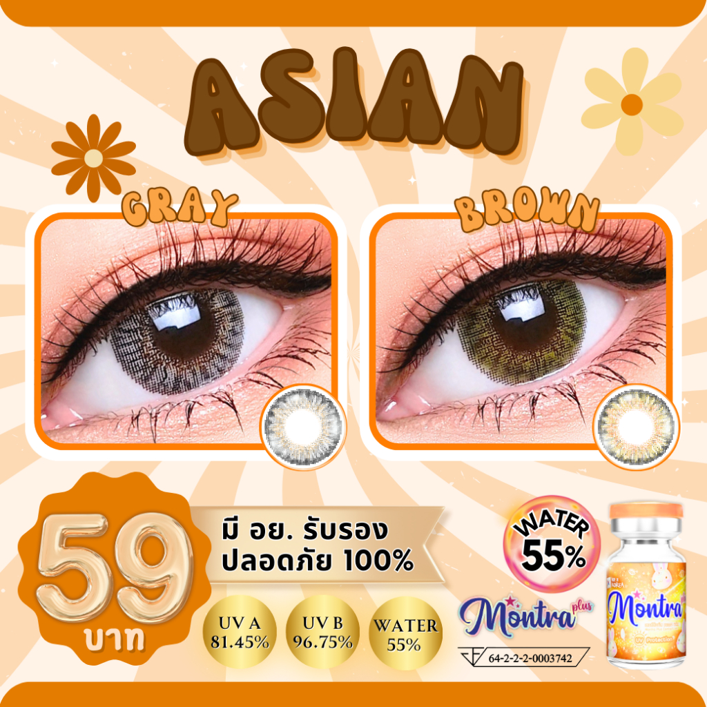 Asian เลนส์สีเทาทรีโทน ใครอยากเปลี่ยนสีตาง่ายๆ อยากให้ลองรุ่นนี้เลย
