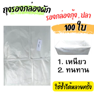 ถุงรองกล่องผักไฮโดรโปนิกส์ 100 ใบ หนา ทนทาน ใช้ได้นาน ถุงรองกล่องกุ้ง,ปลา ถุงรองกล่องโฟมปลูกผัก