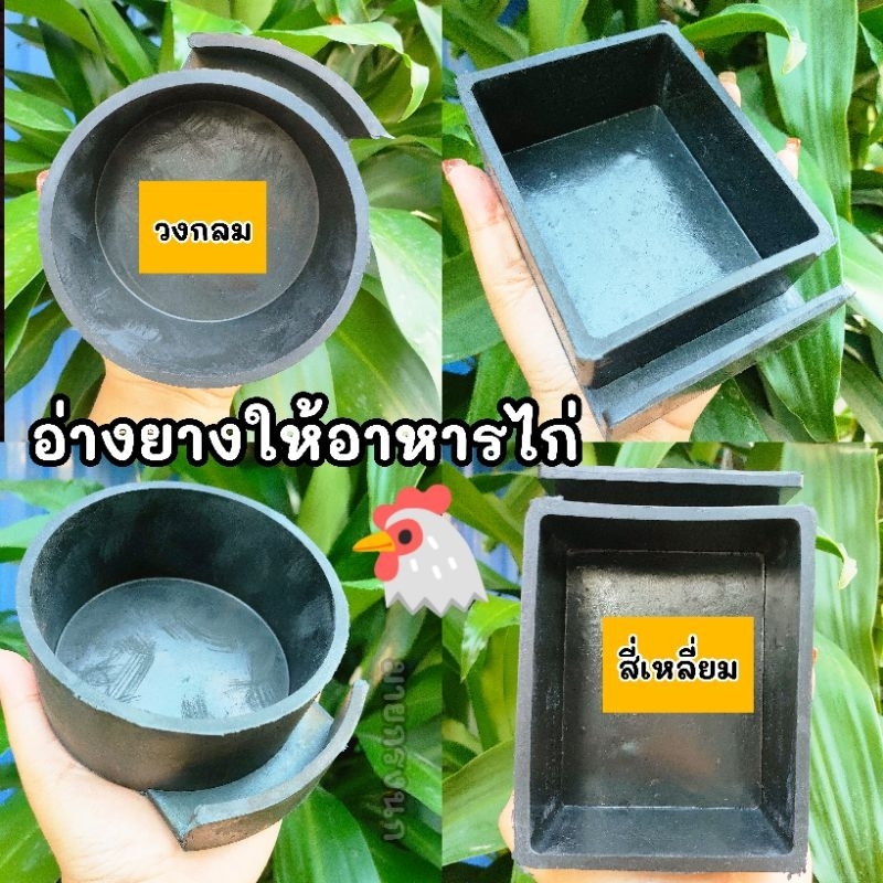 อ่างยางสีดำ ให้อาหารไก่ [มี2ทรง]🐔📌
