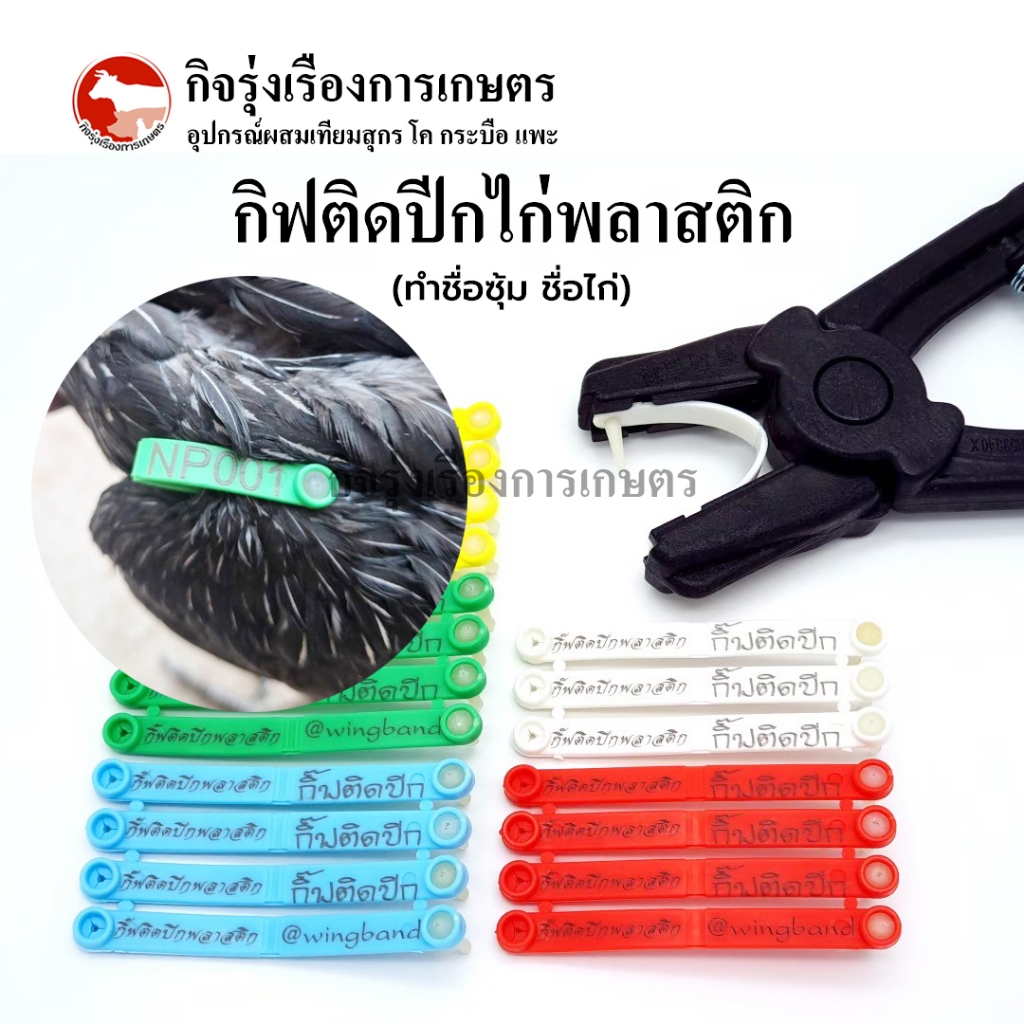 กิ๊ฟติดปีกไก่แบบพลาสติก [ทำเลข+ชื่อ] 100 เบอร์ รุ่นใช้คีมหนีบ เกรด A เริ่มติดไก่อายุ 2 เดือน