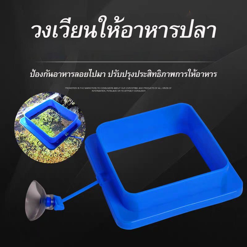 ที่กั้นอาหารปลา ห่วงกั้นอาหารปลา ที่ให้อาหารปลา Feed ring fish tank