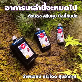 G💊ผลิตภัณฑ์สำหรับปลาคาร์ฟและปลาสวยงาม 100cc-500 cc