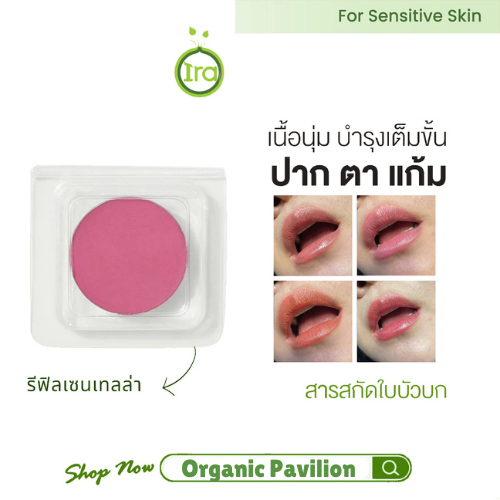 Ira ไอรา รีฟิลลิปทรีทเมนต์ 4 สี Refill Zentella Tinted Lip Treatment (1.5 g)