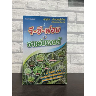 จี-ซี-ฟอบ+ซาเฟนแลนด์ ยาฆ่าหญ้าใบแคบ+ใบกว้าง ฉีดพ่นวัชพืชแปลงสัปประรด 👉👉1 ชุดผสมน้ำ ได้ 1,000 ลิตร