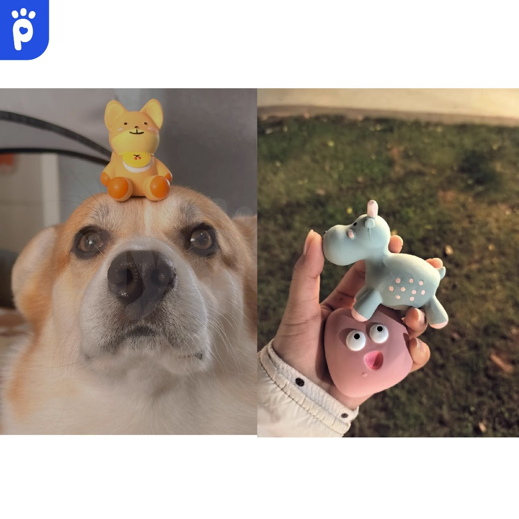 My Paws ของเล่นยางกัดสุนัขzoo ของเล่นหมาแบบยาง ลายน่ารักมีให้เลือกหลายแบบ กัดได้สนุกช่วยขัดฟัน - รูปที่ 4