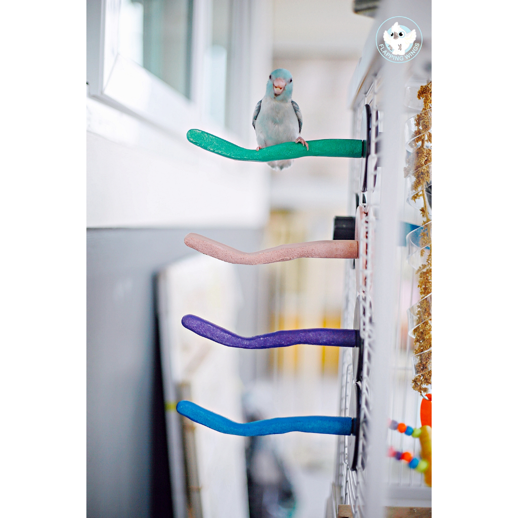 คอนลับเล็บนก ไซส์ XS Flapping Wings คอนนก คอนลับเล็บไซส์ xs ขนาด 0.6" x 6" เหมาะกับ หงหยก ฟอพัส เลิฟเบิร์ด(มีขอบตา)