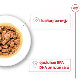 [กล่องใหม่] Royal Canin อาหารเปียกสุนัข พันธุ์กลาง รอยัลคานิน ลูกสุนัข Medium Puppy / Adult / Ageing 10+ ยกกล่อง 10 ซอง