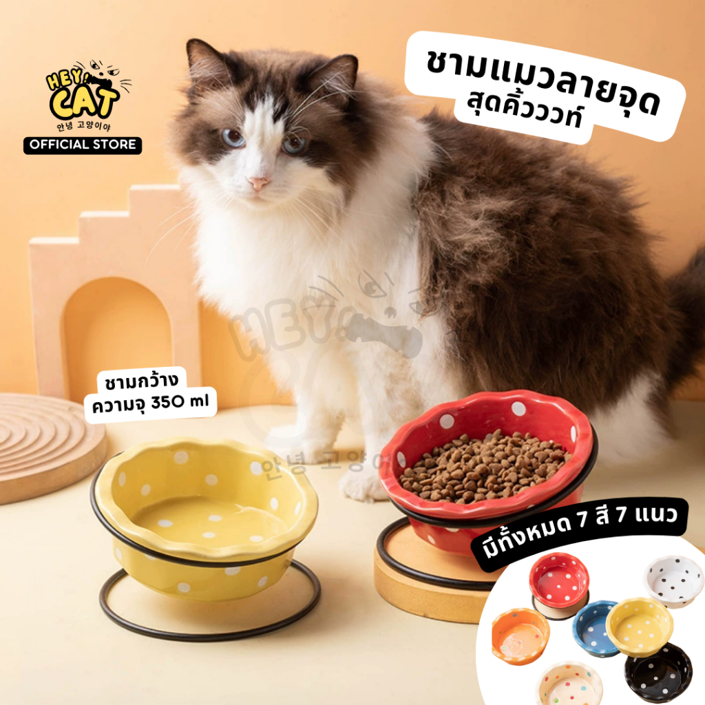 Heycat ชามแมวลายจุด ชามใส่อาหารแมว ชามแมว สุดน่ารักทำจากเซรามิคคุณภาพสูง