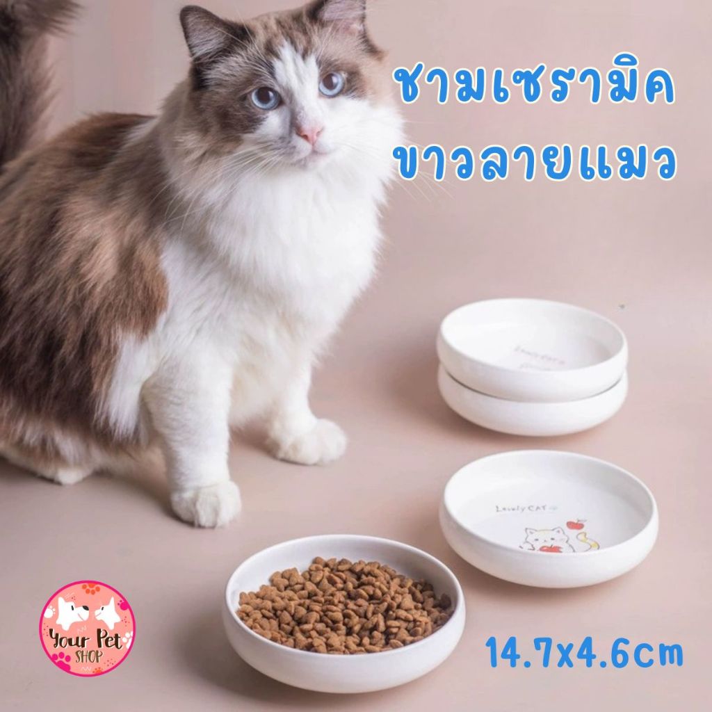ชามเซรามิคขาวลายแมว 14.7x4.6cm จานอาหารแมว หมาเล็ก เซรามิก bowl