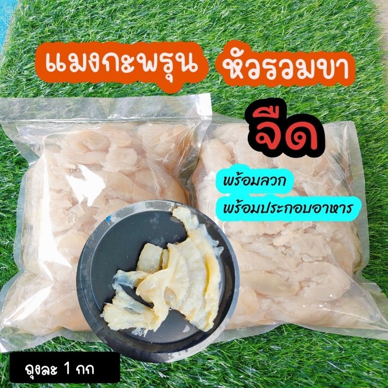 แมงกะพรุนจืด (หัวติดขา) 2 ถุง • ลวกก่อนทาน • ทำยำ น้ำมันงา สไตล์เกาหลี • สดจากทะเลระนอง