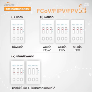 Aurapets (ออร่าเพ็ท) ชุดตรวจหาโรคทางเดินอาหาร Feline Corona Virus/Infectious Peritonitis/Parvo Virus (FCoV/FIPV/FPV)