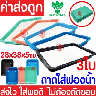 ถาดใส่ฟองน้ำ 3 ใบ เพาะเมล็ด ถาดเพาะเมล็ดไม่มีรู ถาดเพาะกล้า ปลูกผักไฮโดรโปนิกส์ ถาดเพราะ ฟองน้ำ sale clearance